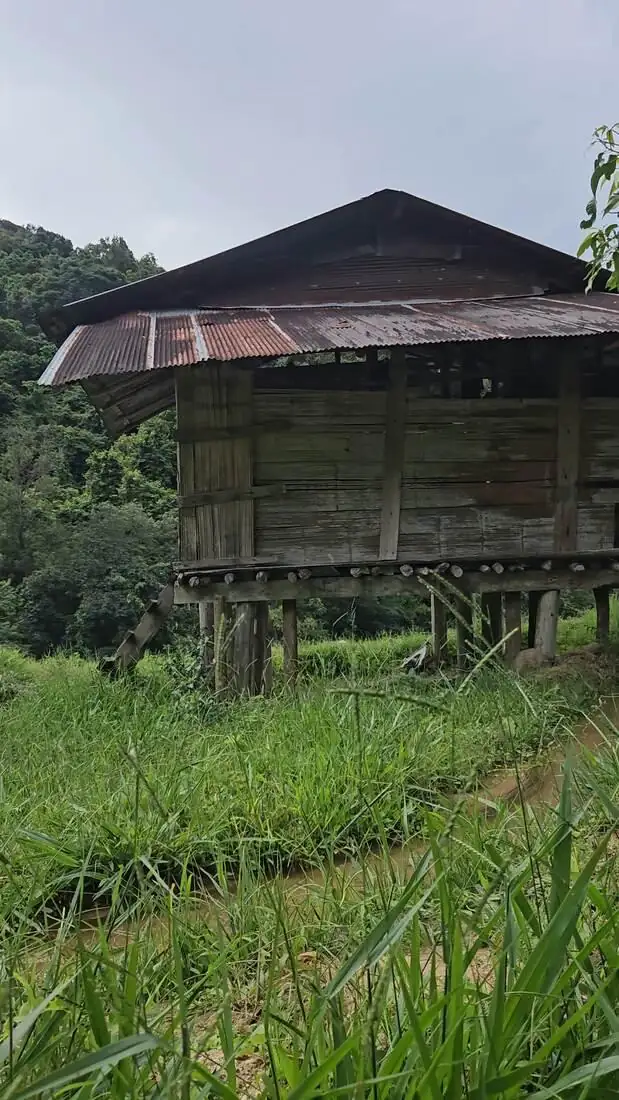 Rustic stilt hut in a grassy clearing